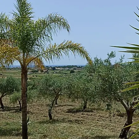 Biancolilla * Menfi